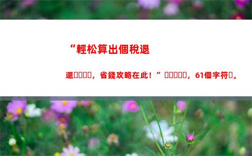 個人所得稅826(個人所得稅82萬繳17萬稅能退多少錢呢)
